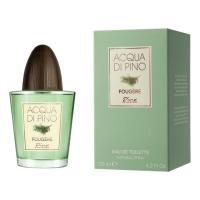 Pino Silvestre ACQUA DI PINO FOUGERE
