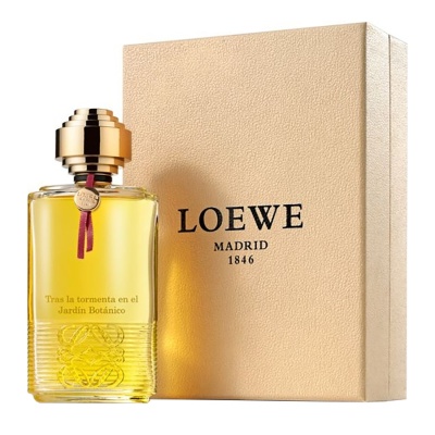Loewe TRAS LA TORMENTA EN EL JARDIN BOTANICO
