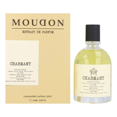 Moudon CHARMANT