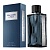 Abercrombie & Fitch FIRST INSTINCT BLUE