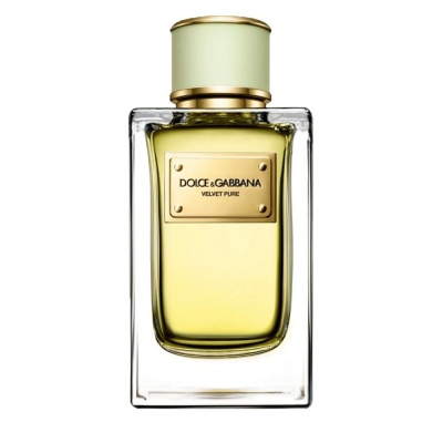 DOLCE & GABBANA Velvet Pure