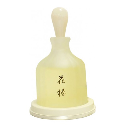 Shiseido HANA TSUBAKI