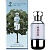 HUGO BOSS Hugo ELEMENT One Tree Fragrance