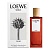 Loewe Solo Cedro