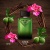 PRADA Extraordinary Men's Perfumes Woody Eau De Parfum EDP Bergamot Musk 30ml/50ml/100ml