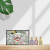 GUCCI Dreamy Collection Perfume Set, Dreamy Gardenia/Mulan/Vanilla Orchid, Floral Scent Eau De Parfum EDP 30ml*3 GUCCI Dreamy Collection Perfume Set, Dreamy Gardenia/Mulan/Vanilla Orchid, Floral Scent Eau De Parfum EDP 30ml*3