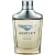Bentley Infinite