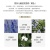 CHANEL Pink Encounter Hair Fragrance Spray Floral Scent 35ml Cosmetics CHANEL Pink Encounter Hair Fragrance Spray Floral Scent 35ml Cosmetics