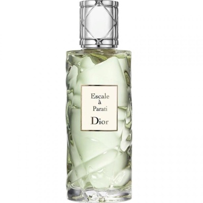 Christian Dior Escale a Parati