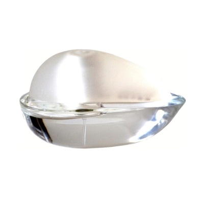 Tan Giudicelli ANNAM