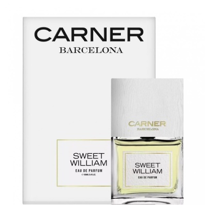 Carner Barcelona Sweet William