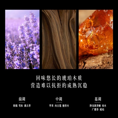 BENCHI Zhi Zhen Men's Perfume Woody Amber Fougere Eau De Parfum EDP